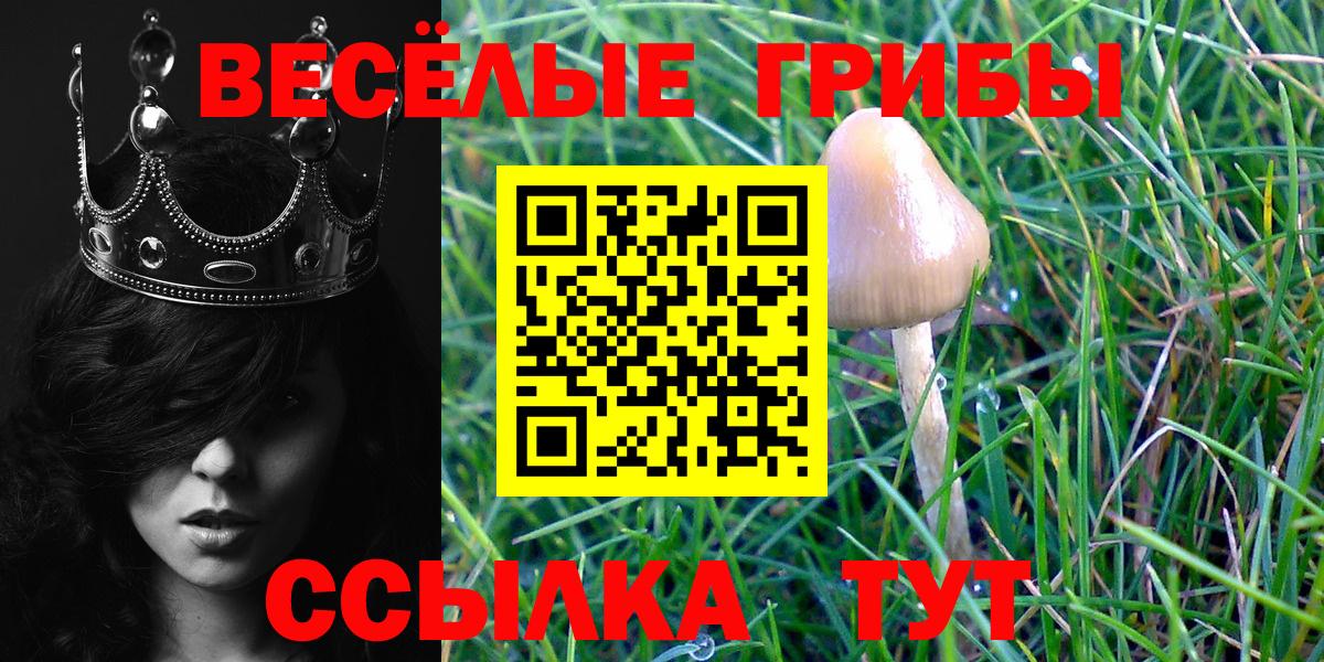 Псилоцибиновые грибы GOLDEN TEACHER  Вход с VPN  Нижний Тагил 